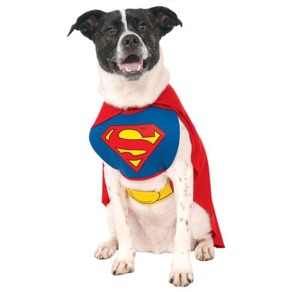 Rubies Other - Rubies Costume DC Heroes and Villains Collection Pet Costume